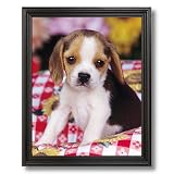 Solid Wood Black Framed Beagle Puppy Dog Kids Room Animal Pictures Art Print