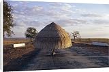 Canvas Prints of Person carrying huge umbrella on road at dusk from Robert Harding