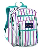 JanSport Big Student School Backpack (White Scribble Stripe)