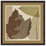 4 Leaves 2 Wall Art by Steven N. Meyers - 23.4x23.4