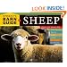 Storey's Barn Guide to Sheep