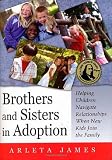 Brothers and Sisters in Adoption: Helping Children Navigate Relationships When New Kids Join the Family