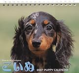 こいぬミニカレンダー 2007 (2007)