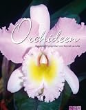 Orchideen - Meisterhaft fotografiert von Marcel Lecoufle - .