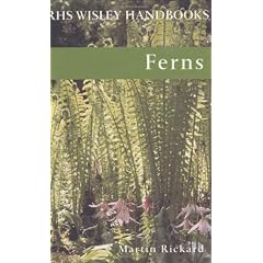 Ferns