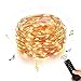 Homestarry Outdoor String Lights,Music Dimmable LED String Lights With Remote,Indoor Decorative Cooper Wire Warm White Lights for Room,Bedroom,Patio,Christmas Tree,Party,Wedding(33Ft,100Leds)