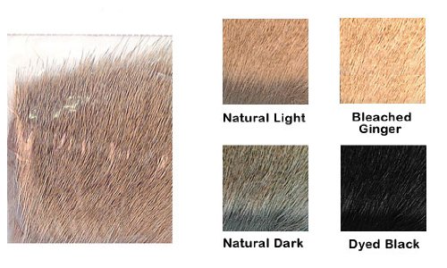 Elk Body Hair Color: Bleached Ginger
