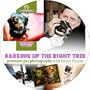 Barking Up The Right Tree - Pet Photography Tutorial Shootsmarter DVD