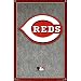 Cincinnati Reds (New Logo) Sports Poster Print - 24x36