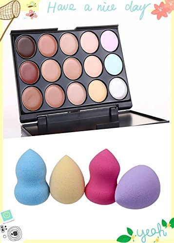 Kakaxi(tm) professional 15 concealer camouflage makeup …