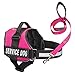 Service Dog Harness & Matching Leash Set | Available In 7 Sizes From Extra Small to Extra Large | Vest Features Reflective Patch and Comfortable Mesh Design From Industrial Puppy