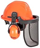 Forsthelm 658-0-500-I Helm, EN 397, Gehörschutz: EN 352, Visier: EN 1731 Forsthelm 658-0-500-I Helm, EN 397, Gehörschutz: EN 352, Visier: EN 1731