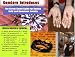Street Smarts For Gold-Gem Buyers (Gemology III, Vol. 3) by Gerald L. Wykoff GG CSM Ph.D ISBN B0016PYJXC