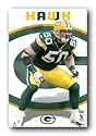 GREEN BAY PACKERS NFL HAWK FOOTBALL POSTER T 4 NEW 4288