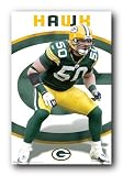 GREEN BAY PACKERS NFL HAWK FOOTBALL POSTER T 4 NEW 4288