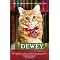 GREAT CAT STORIES