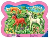 Playful Ponies Contour Frame Puzzle