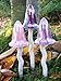 Bosmere W121 3-Pack Garden Ceramic Lawn Ornament, Toadstools, Luster Spring Colors