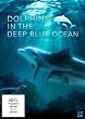 Dolphins in the Deep Blue Ocean