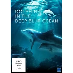 Dolphins in the Deep Blue Ocean