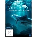 Dolphins in the Deep Blue Ocean