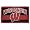 Wisconsin Badgers