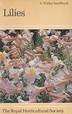 Lilies