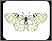 Decorated Mouse Pad with insect, butterfly, clouded, apollo