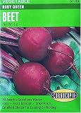 Beets Ruby Queen Seeds 200 Seeds - B0013GSHAU