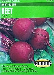 Beets Ruby Queen Seeds 200 Seeds