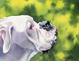 White Boxer Dog Art Print Signed by Artist DJ Rogers