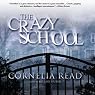 The Crazy School
