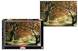 Image 2,000 Piece Puzzle - Forever Autumn