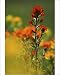 Photographic Prints of USA, Michigan, from Danita Delimont