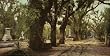 Bonaventure Cemetery, Savannah, Georgia, ca. 1901 - Exceptional Print of a Vintage Photochrom Image from the Library of Congress Collection