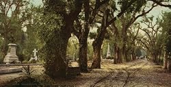 Bonaventure Cemetery, Savannah, Georgia, ca. 1901 - Exceptional Print of a Vintage Photochrom Image from the Library of Congress Collection