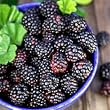 black raspberry flavor extract