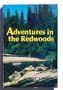 Adventures in the Redwoods