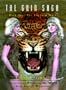 The Guin Saga: Book One: The Leopard Mask (Bk. 1)
