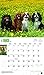 For the Love of Cavalier King Charles Spaniels 2016 Calendar