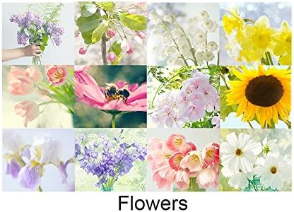 2017 Flower Desk Calendar, Floral Calendar, Gift for Women,