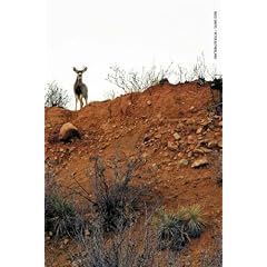 Buck Shots
