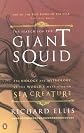 The Search for the Giant Squid