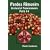Pardes Rimonim - Orchard of Pomegranates - Parts 1-4