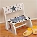 Hand Painted Western Step Stool