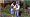 The Sims 3 (PC/Mac DVD)