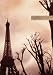 Paris Twilight Lined Elastic Large Journal
