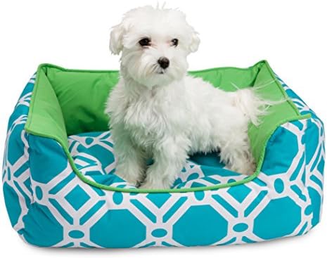 Modern Elegance by Armour Paws- Easy To Clean- Trendy Stylish Design- All-In-One Style with 3 Different Sizes. (Medium)