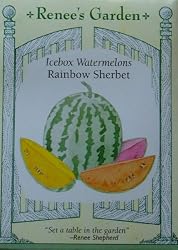 Watermelon Seeds Icebox Rainbow Sherbert 15 Seeds