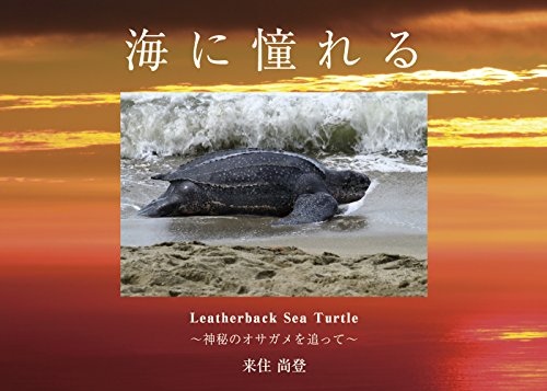 海に憧れる Leatherback Sea Turtle ~神秘のオサガメを追って~